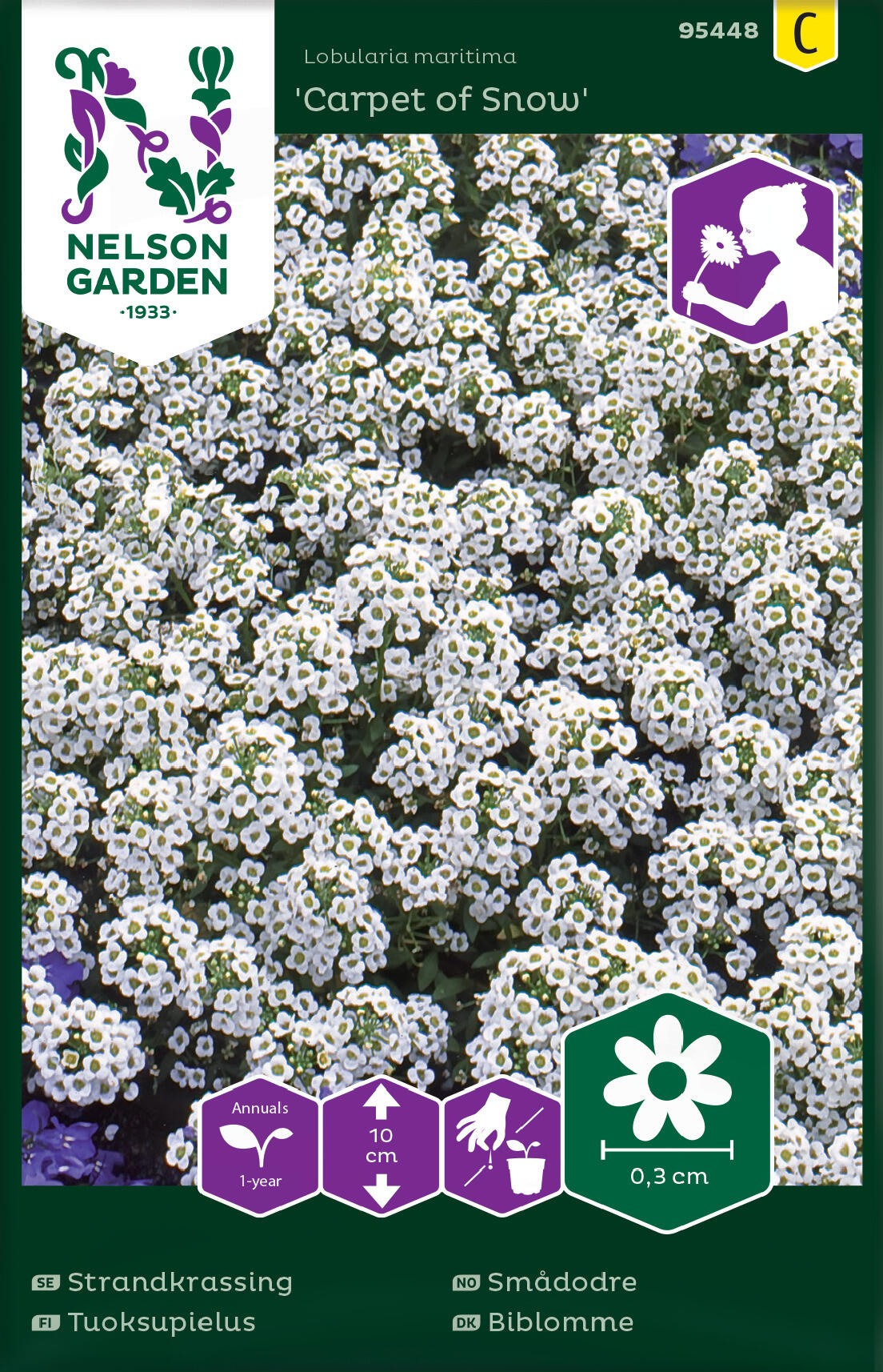 Smådodre 'Carpet of Snow'